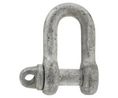 Shackle, D, Screw Pin, 1t, Steel